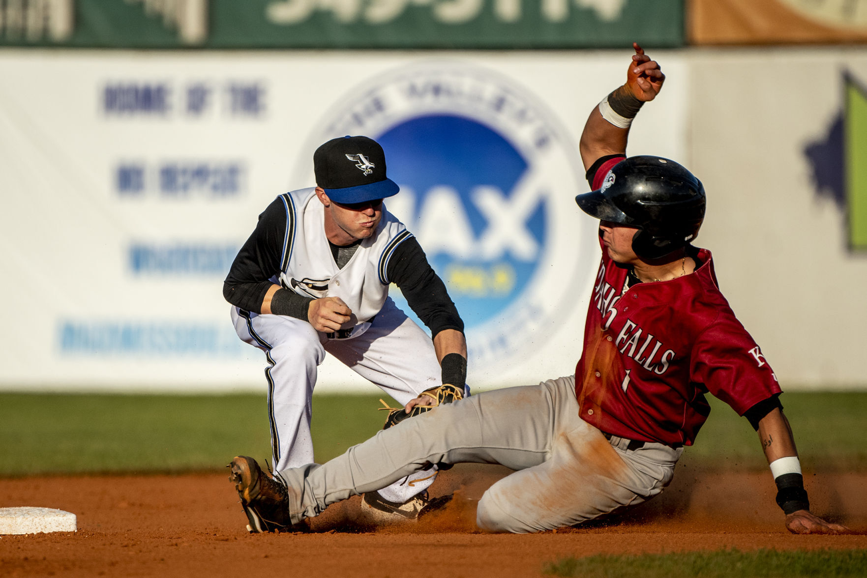 Pioneer League baseball